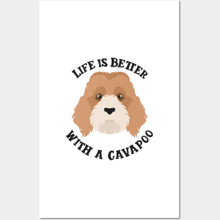 Life is Better With A Cavapoo Posters and Art